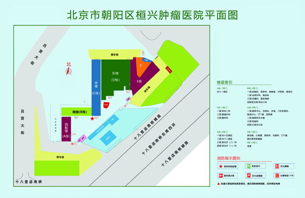 啊啊啊太紧了啊啊啊爽死了射了北京市朝阳区桓兴肿瘤医院平面图